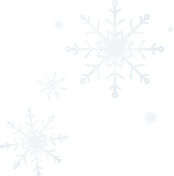 White Winter Snowflakes